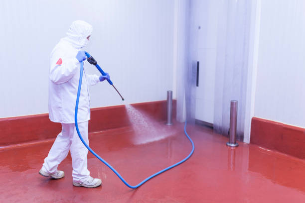 Best Parking Lot Cleaning in San Elizario, TX
